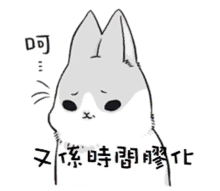 a drawing of a rabbit with chinese writing on the bottom