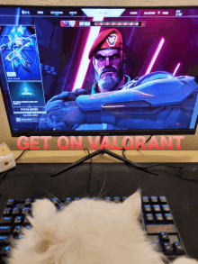 a cat is laying on a keyboard in front of a computer monitor that says get on valorant