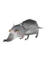 a drawing of a rat with a long nose