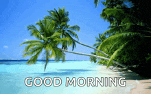 a beach with palm trees and the words " good morning "