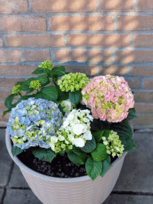 three different colored flowers in a pot with a brick wall behind them