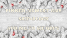 a sign that says " pinned newest-any skip-block add me to gif grps "