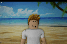 a roblox character is smiling in front of a beach background