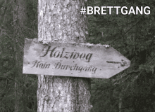 a wooden sign on a tree shows the way to holzivoq