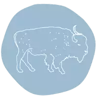 a drawing of a bison with horns on a blue background