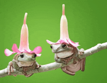 two frogs with pink flowers on their heads sitting on a branch