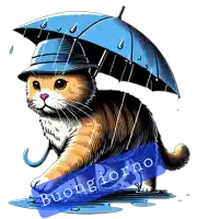 a cat wearing a hat and holding a blue umbrella with the words buongiorno below it