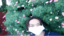 a woman wearing a face mask stands in front of a bush with pink flowers