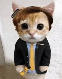 a cat is wearing a suit and tie and holding a yellow bottle that says ' i love you ' on it