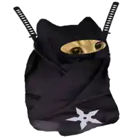 a cat dressed as a ninja with swords and a star