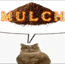 a cat is sitting next to a pile of mulch and a speech bubble .