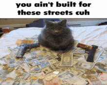 a cat is sitting on top of a pile of money and two guns