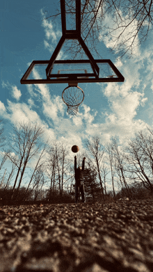 a person playing basketball in the woods with a basketball going through a hoop