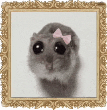 a hamster with a pink bow on its head is in a picture frame