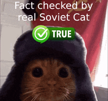 a cat wearing a russian hat with a green check mark that says true