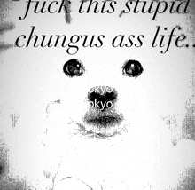 a black and white drawing of a dog with the words " fuck this stupid chungus ass life " above it