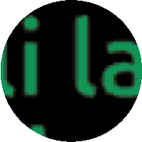 a green and black circle with the word lila on it