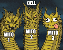 a cartoon of three dragons with the words cell mito 1 and mito 2