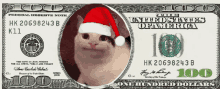 a picture of a cat wearing a santa hat on a 100 dollar bill