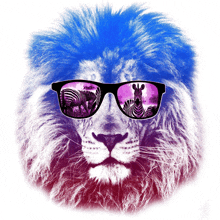 a colorful lion wearing sunglasses with a zebra in the background