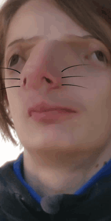 a close up of a person 's face with a cat 's nose and whiskers