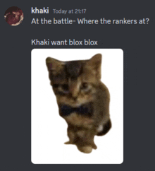 a picture of a cat with a bow tie and the words khaki today at 21:17 at the battle