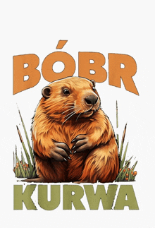 a drawing of a beaver with the words bobr kurwa below it