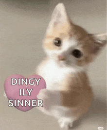 a kitten holding a pink heart with the words dingy ily sinner written on it