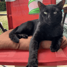 a black cat is laying on a brown pillow on a red chair