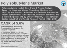 an advertisement for polyisobutylene market size share & trends analysis report