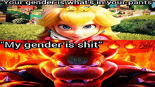 a picture of princess peach next to a picture of bowser that says " your gender is what 's in your pants "