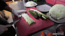 a person is cutting vegetables on a red cutting board and the words made in animotica are on the bottom