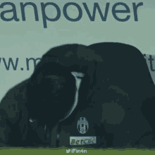 a man kneeling down in front of an advertisement for anpower