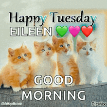 a picture of four kittens with the words happy tuesday eileen good morning on it