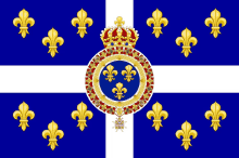 a blue and white flag with fleur de lis and a crown on it