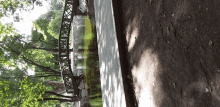 a bridge over a pond in a park with trees in the background