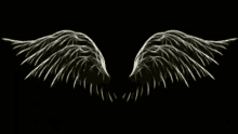 a pair of angel wings on a black background