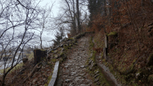 a path in the woods with a wooden bench on the side of it