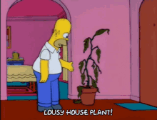 a cartoon of homer simpson standing next to a potted plant with the words lousy house plant below him