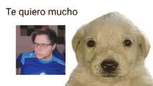 a picture of a man with glasses next to a picture of a dog with the words te quiero mucho