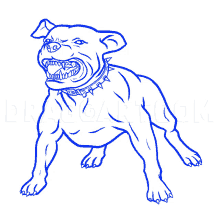 a drawing of an angry dog with a collar and spikes on it