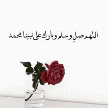 a red rose in a clear vase with arabic writing on it