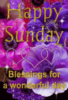 a happy sunday blessings for a wonderful day with purple flowers and hearts