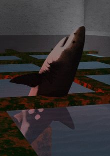 a computer generated image of a shark in a room