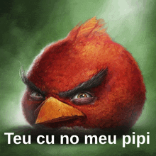 an angry bird with the words teu cu no meu pipi written below it