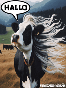 a black and white cow with a speech bubble saying hallo