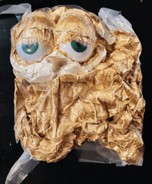 a stuffed animal with green eyes is wrapped in a plastic bag