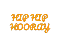 a white background with the words hip hip hooray in orange letters