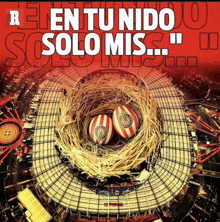 a stadium with two eggs in a nest with the words " en tu nido solo mis "