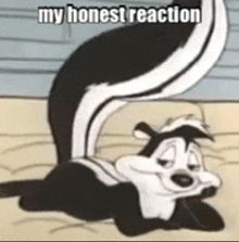 a cartoon skunk is laying down on the floor with the caption my honest reaction